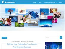 Tablet Screenshot of droplabs.net